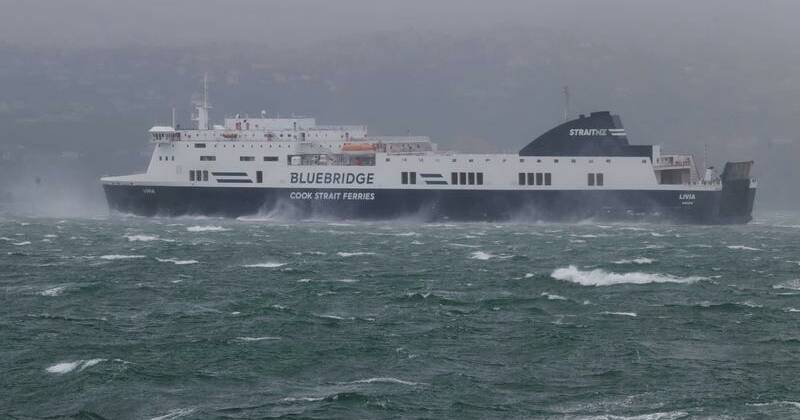 storm-claims-life-as-winds-disrupt-wellington-and-surroundings