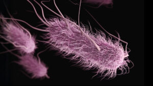 study-links-poor-kitchen-hygiene-to-1-in-5-urinary-tract-infections