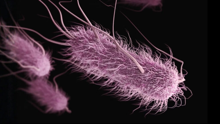 study-links-poor-kitchen-hygiene-to-1-in-5-urinary-tract-infections