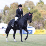 sunbury-show-draws-thousands-for-thrilling-day-of-fun