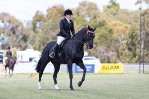 sunbury-show-draws-thousands-for-thrilling-day-of-fun