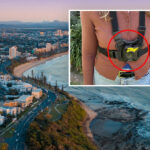 sunshine-coast-council-implements-surveillance-to-combat-aggression