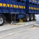tatiara-council-shelves-effluent-dump-proposal-for-livestock-trucks