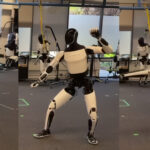 tesla-s-optimus-robot-learns-kung-fu-using-ai-not-tele-operation