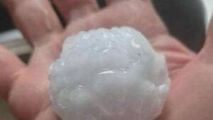 thousands-without-power-after-devastating-storm-hits-nsw-qld
