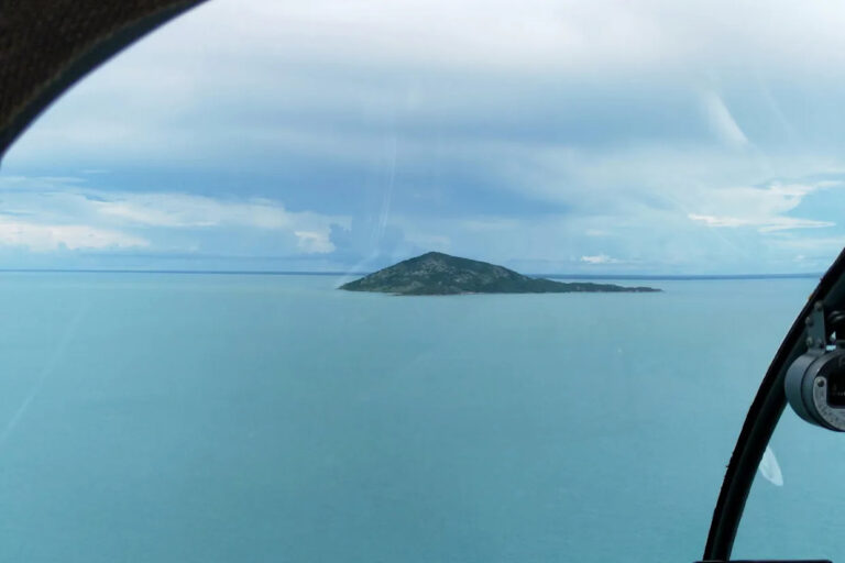 three-new-animal-species-discovered-on-remote-aussie-island