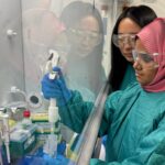 tiny-metal-particles-show-potential-in-targeted-cancer-therapies