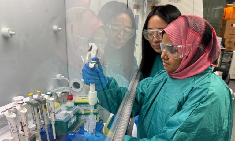 tiny-metal-particles-show-potential-in-targeted-cancer-therapies