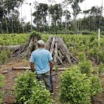 trump-labels-colombian-president-a-drug-leader-cuts-aid