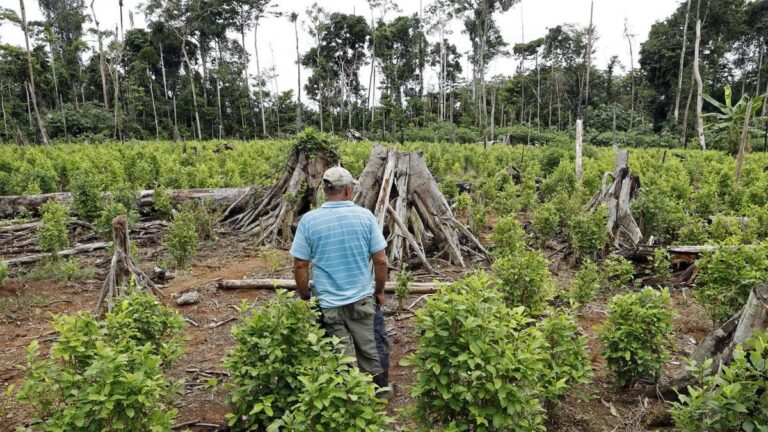 trump-labels-colombian-president-a-drug-leader-cuts-aid