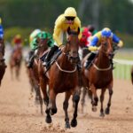 universal-story-and-tamaris-aim-for-hat-tricks-at-southwell