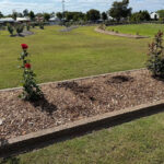 urgent-2-000-plant-theft-hits-elizabeth-park-australia