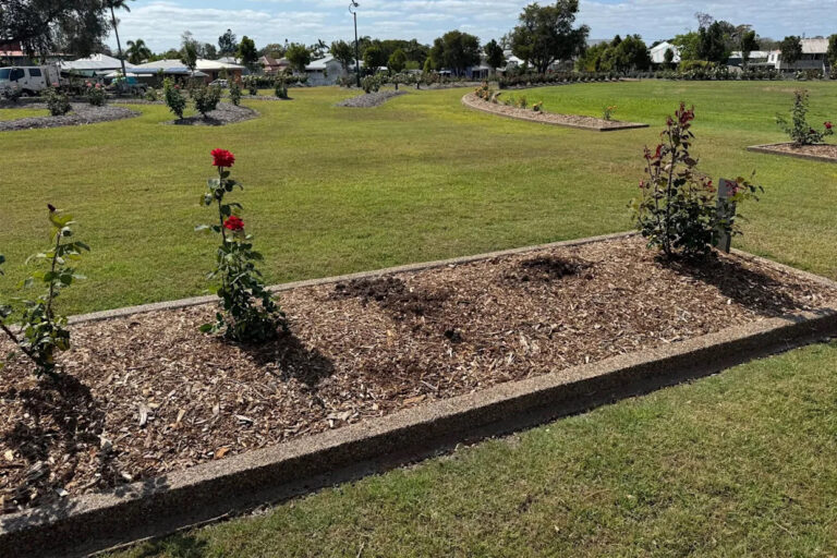 urgent-2-000-plant-theft-hits-elizabeth-park-australia