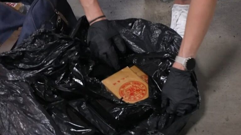 urgent-260m-drug-haul-and-multiple-arrests-in-major-raids