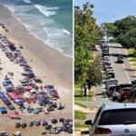 urgent-calls-for-crackdown-after-4-502-fine-at-teewah-beach