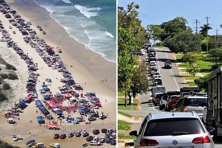 urgent-calls-for-crackdown-after-4-502-fine-at-teewah-beach