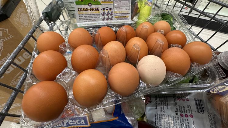 urgent-closure-northern-colorado-grocery-store-shuts-after-50-years
