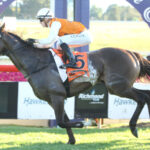 urgent-hawkesbury-racing-tips-key-selections-for-today-s-races