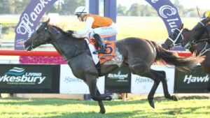 urgent-hawkesbury-racing-tips-key-selections-for-today-s-races