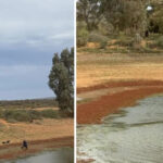urgent-search-for-missing-boy-enters-fifth-day-in-outback