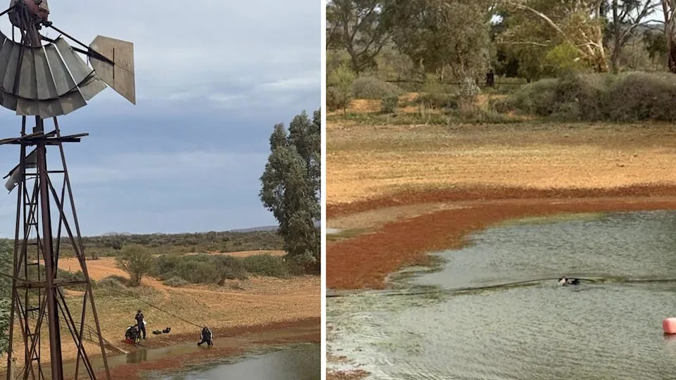 urgent-search-for-missing-boy-enters-fifth-day-in-outback