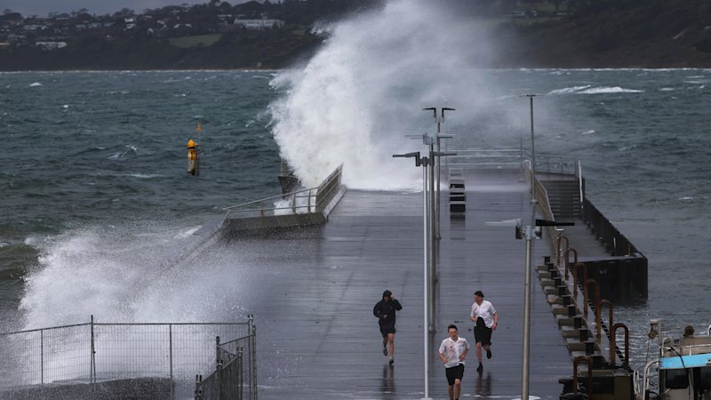 urgent-search-for-missing-man-after-boat-capsizes-off-mornington