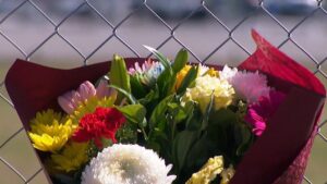 urgent-tributes-flow-for-couple-and-friend-killed-in-plane-crash