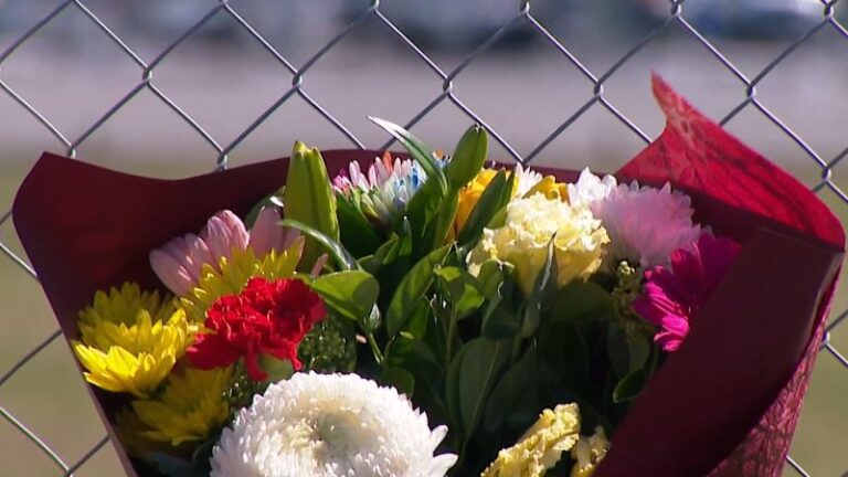 urgent-tributes-flow-for-couple-and-friend-killed-in-plane-crash