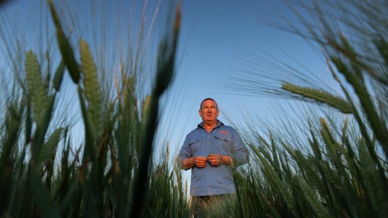 victoria-s-critical-minerals-deal-sparks-urgent-farmer-concerns