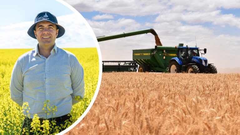 RaboResearch senior analyst Vitor Pistoia.