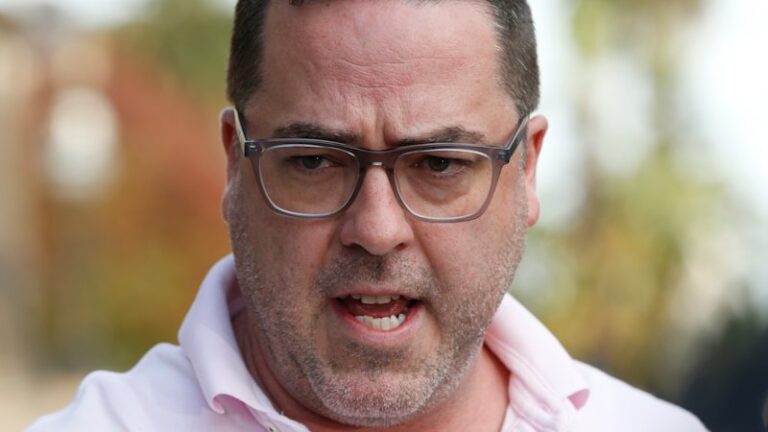 whittlesea-mayor-aidan-mclindon-returns-amid-inquiry-findings
