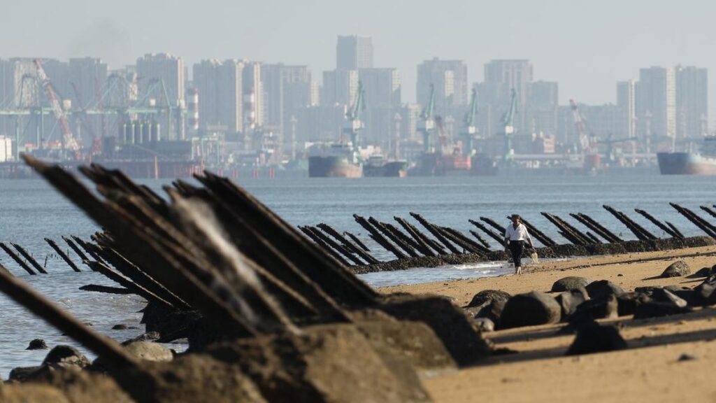 xi-jinping-urges-reunification-following-taiwan-opposition-election