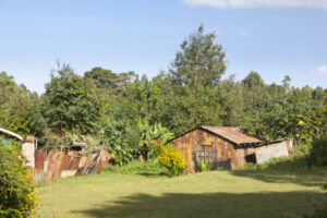 young-kenyans-face-security-challenges-despite-land-inheritance