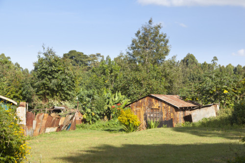 young-kenyans-face-security-challenges-despite-land-inheritance