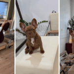 your-reformer-launches-early-black-friday-sale-with-big-discounts