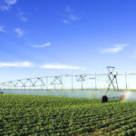 300m-hot-chip-facility-at-risk-without-farmland-protection
