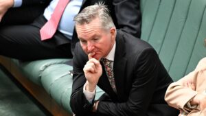 albanese-faces-backlash-as-bowen-takes-un-climate-role