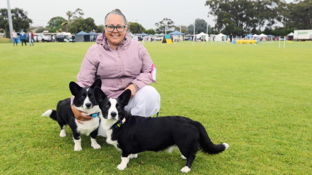 albany-all-breeds-championship-show-draws-over-300-dogs