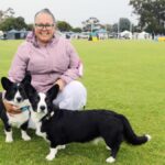 albany-all-breeds-championship-show-draws-over-300-dogs