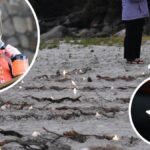 A small crowd braved the weather to attend Ellen Cove for the ca