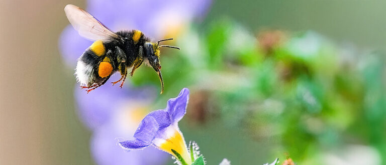 ama-advocates-for-larc-access-opposes-midwives-for-iud-services