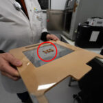 australia-invests-5-7m-to-protect-rare-plant-seed-collection