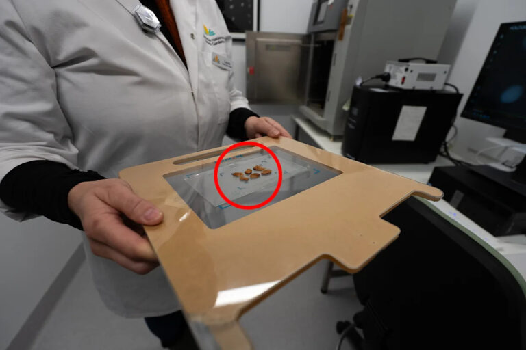 australia-invests-5-7m-to-protect-rare-plant-seed-collection