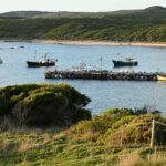 australian-economy-thrives-as-jobs-surge-rate-cuts-unlikely