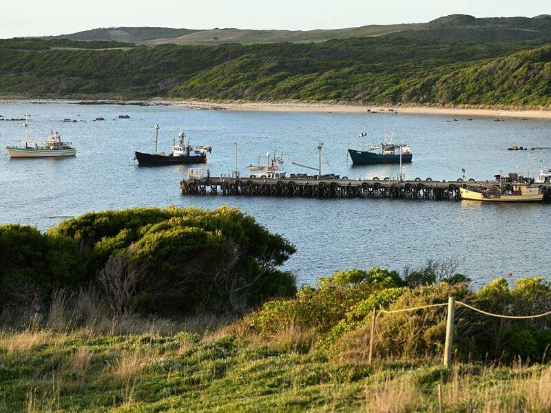 australian-economy-thrives-as-jobs-surge-rate-cuts-unlikely