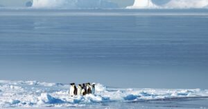 australian-scientist-warns-of-abrupt-antarctic-changes-at-cop30