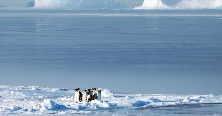 australian-scientist-warns-of-abrupt-antarctic-changes-at-cop30