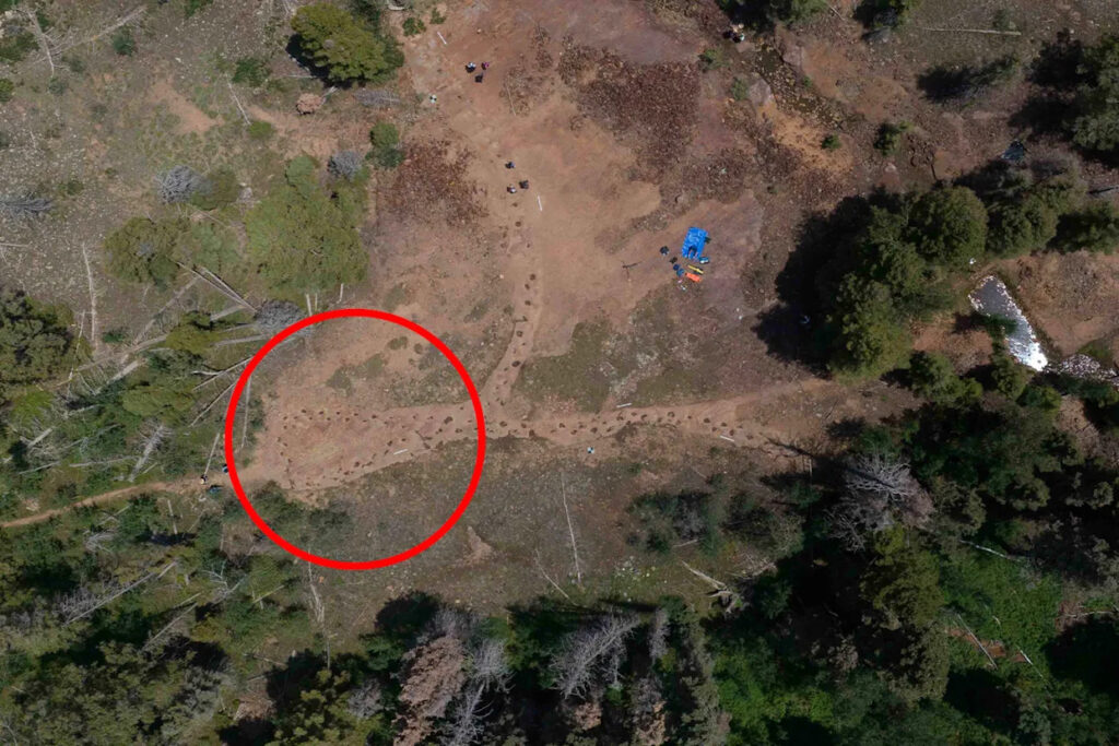 australian-scientists-uncover-ancient-dinosaur-footprints-linked-to-battle