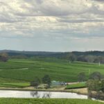 australian-wineries-to-receive-10m-boost-ahead-of-christmas