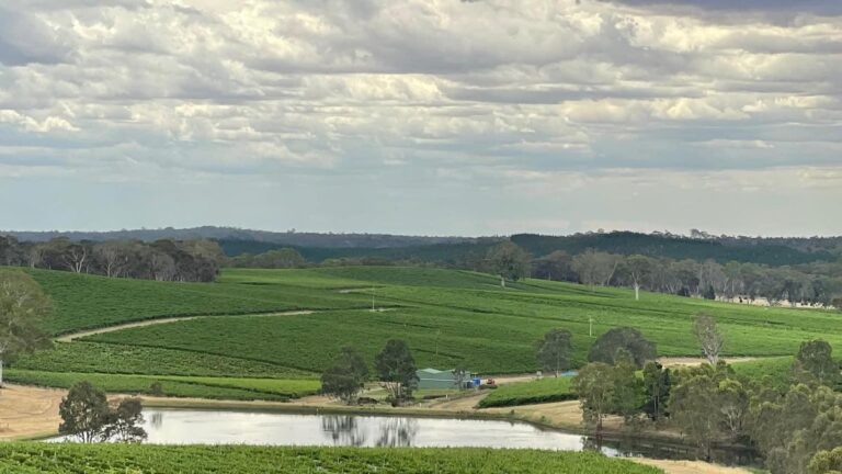 australian-wineries-to-receive-10m-boost-ahead-of-christmas